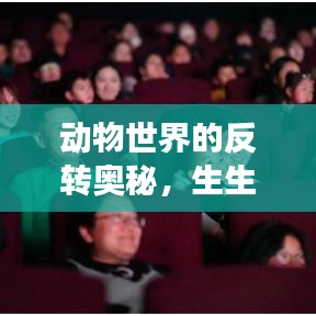 动物世界的反转奥秘，生生不息的演变之旅
