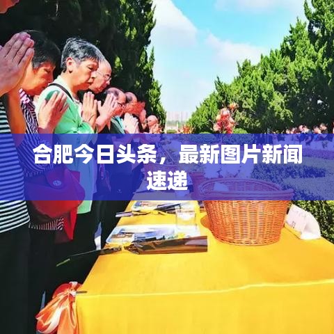 合肥今日头条，最新图片新闻速递