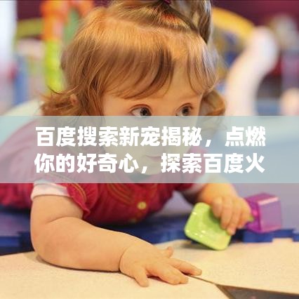 百度搜索新宠揭秘，点燃你的好奇心，探索百度火苗奇妙世界！