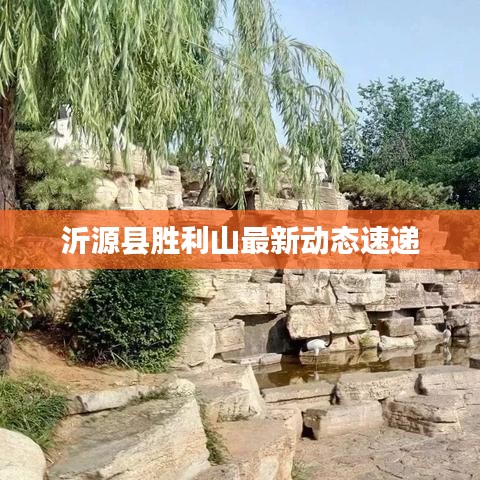 沂源县胜利山最新动态速递