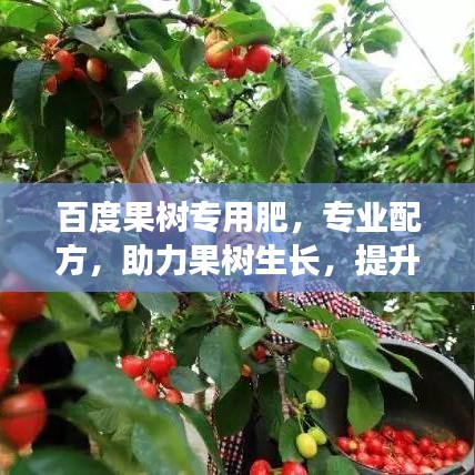 百度果树专用肥，专业配方，助力果树生长，提升果实品质！