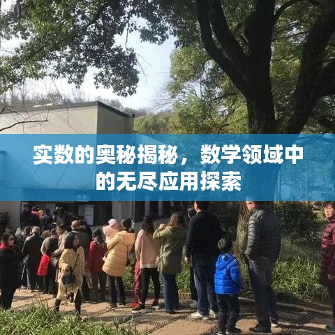 实数的奥秘揭秘，数学领域中的无尽应用探索