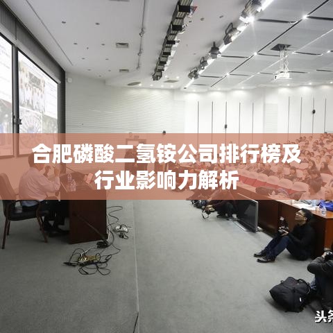 合肥磷酸二氢铵公司排行榜及行业影响力解析