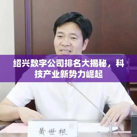 绍兴数字公司排名大揭秘，科技产业新势力崛起