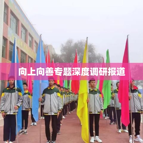 向上向善专题深度调研报道