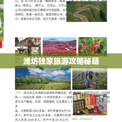 潍坊独家旅游攻略秘籍