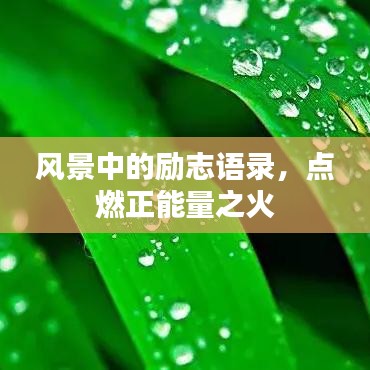 风景中的励志语录，点燃正能量之火