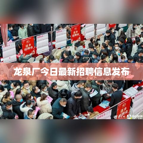 龙泉厂今日最新招聘信息发布