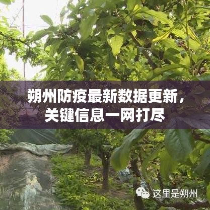 朔州防疫最新数据更新，关键信息一网打尽