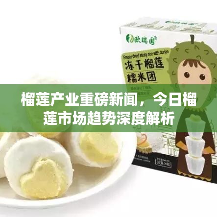 榴莲产业重磅新闻，今日榴莲市场趋势深度解析