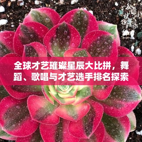 全球才艺璀璨星辰大比拼，舞蹈、歌唱与才艺选手排名探索