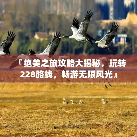 『绝美之旅攻略大揭秘，玩转228路线，畅游无限风光』