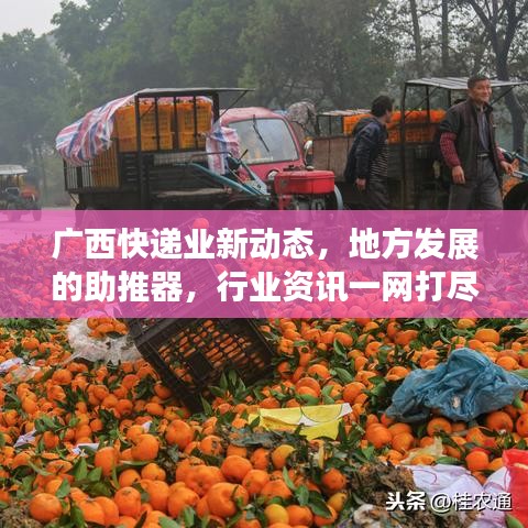 广西快递业新动态，地方发展的助推器，行业资讯一网打尽