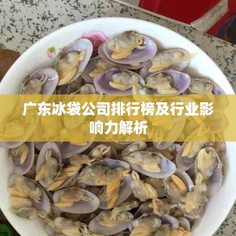 广东冰袋公司排行榜及行业影响力解析