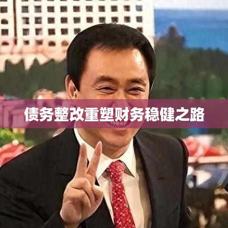 债务整改重塑财务稳健之路