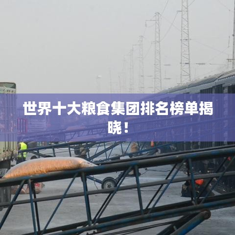 世界十大粮食集团排名榜单揭晓！