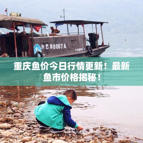 重庆鱼价今日行情更新！最新鱼市价格揭秘！