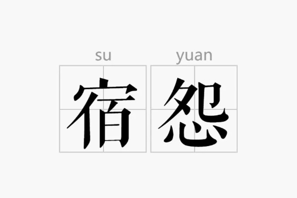 宿怨官方下载,快速解答计划设计-RemixOS_v10.140