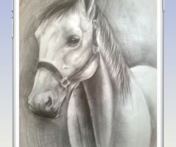 素描绘画板官方下载或无转生传奇手游,最新研究解释定义-Mixed_v8.508