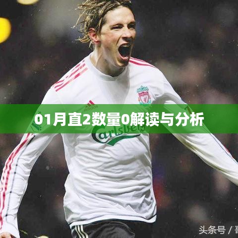 01月直2数量解读与分析，深度剖析数据背后的意义