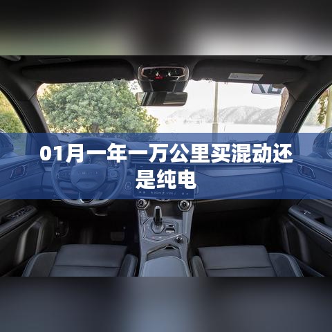 一月一万公里，混动与纯电选择对比