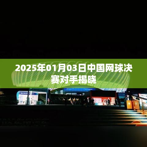 揭秘，中国网球决赛对手揭晓，赛场对决即将上演！