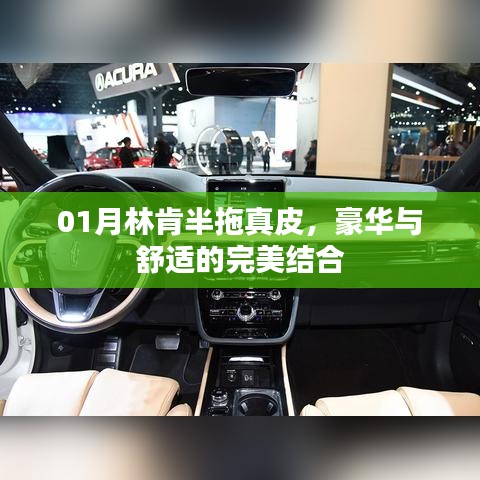 林肯半拖真皮，豪华与舒适的完美融合