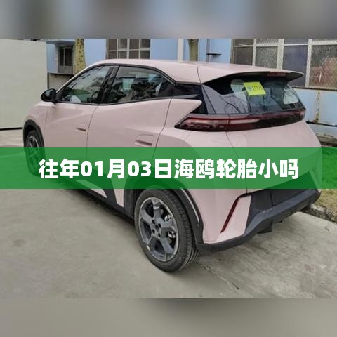 海鸥轮胎尺寸解析，日期与规格揭秘