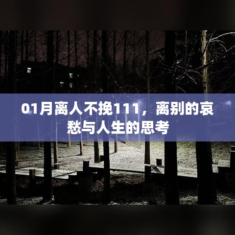 离人不挽，人生哀愁与思考
