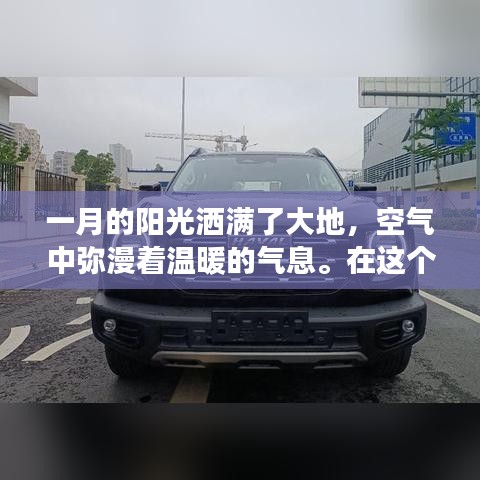一月大狗展现稳重气质，原因大解析