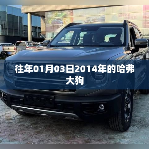 第684页