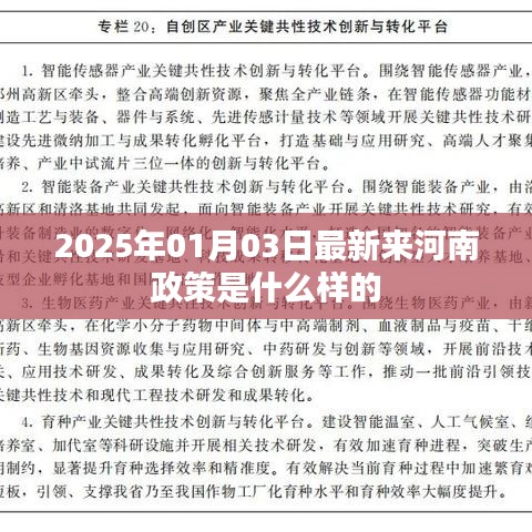 河南最新政策，了解2025年一月新动向