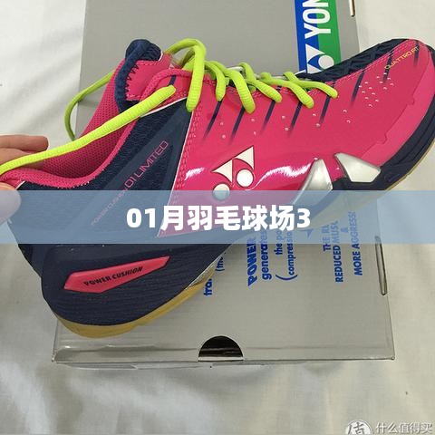 一月羽毛球场精彩瞬间