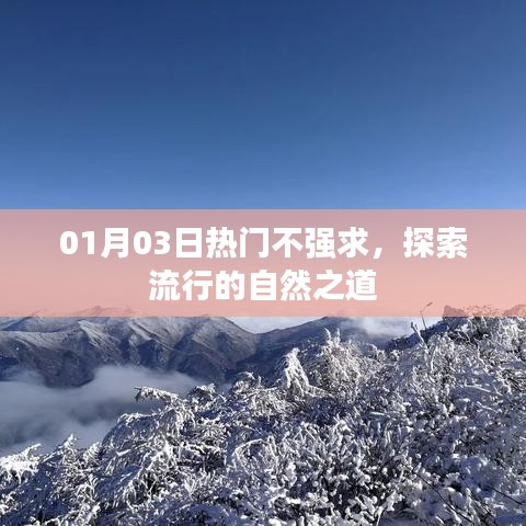 探索自然流行之道，热门不求强求