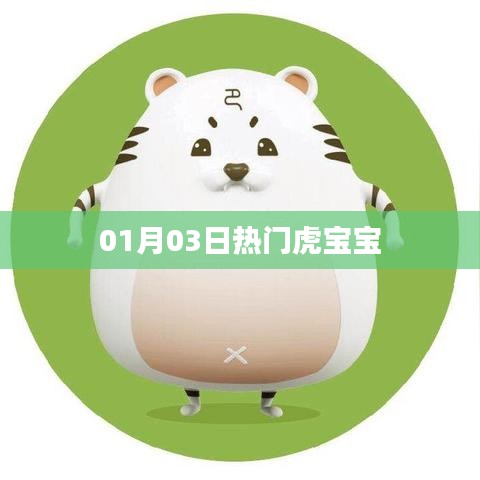 虎宝宝热门资讯，01月03日一网打尽！