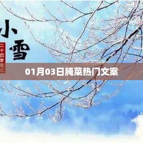 腌菜热门文案大揭秘，美味背后的故事