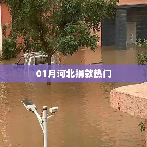 河北捐款热点事件回顾