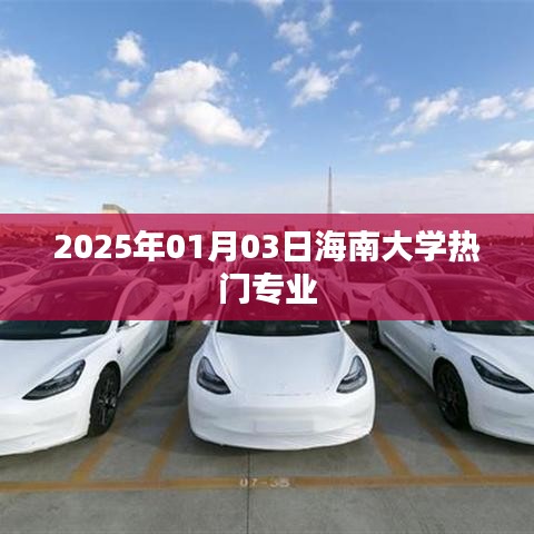 海南大学热门专业介绍，2025年专业展望（一）