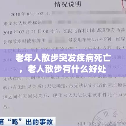 老年人散步突发疾病死亡，老人散步有什么好处 