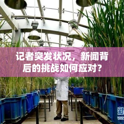 记者突发状况，新闻背后的挑战如何应对？