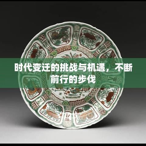 时代变迁的挑战与机遇，不断前行的步伐