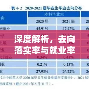 深度解析，去向落实率与就业率的内在联系与现状挑战