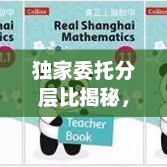 独家委托分层比揭秘，现代业务模式深度解析