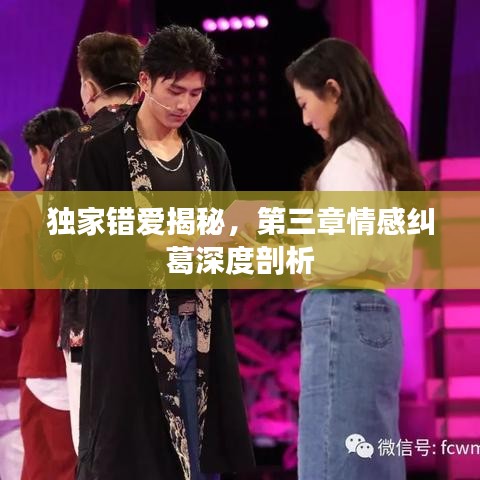 独家错爱揭秘，第三章情感纠葛深度剖析