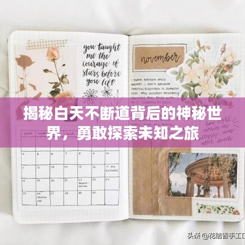 揭秘白天不断道背后的神秘世界，勇敢探索未知之旅