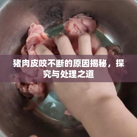 猪肉皮咬不断的原因揭秘，探究与处理之道