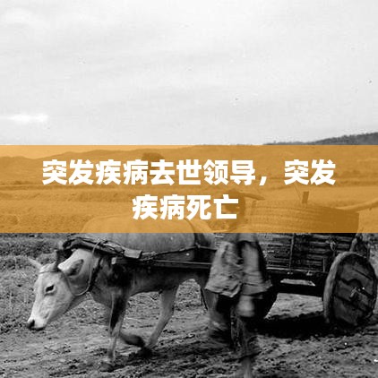 突发疾病去世领导，突发疾病死亡 