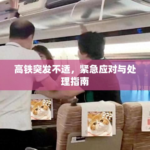 高铁突发不适，紧急应对与处理指南