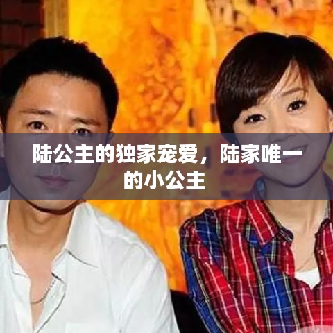 陆公主的独家宠爱，陆家唯一的小公主 