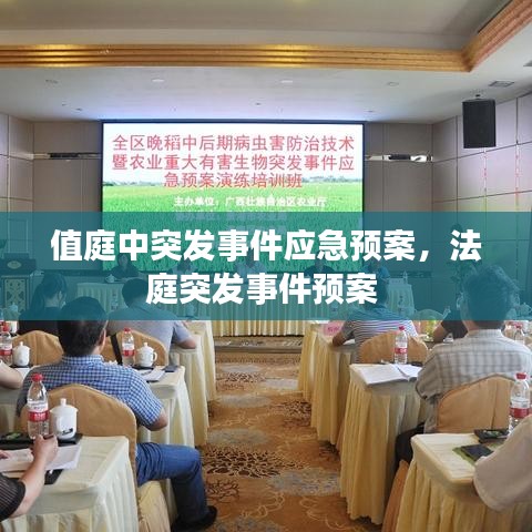 值庭中突发事件应急预案，法庭突发事件预案 